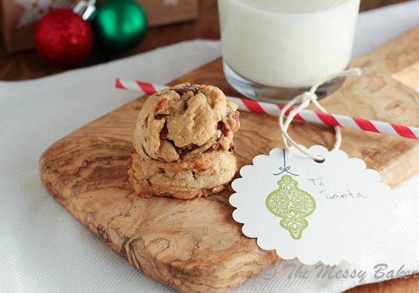 Chocolate Chip Cookies {www.themessybakerblog.com}-5711