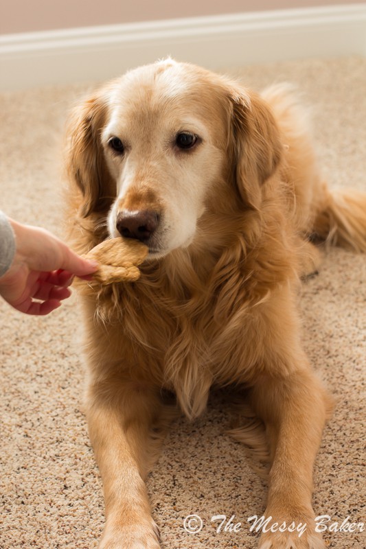 Peanut Butter Bacon Dog Biscuits from www.themessybakerblog.com