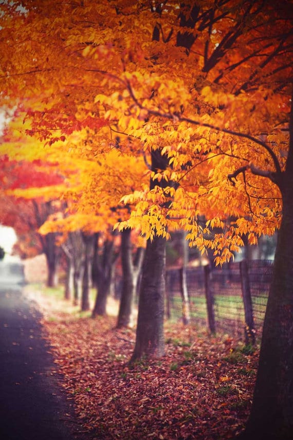 Slice of Life Saturday's | www.themessybakerblog.com